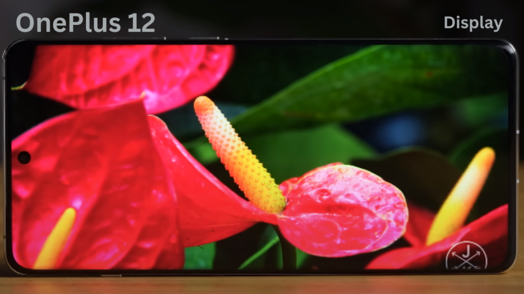 OnePlus 12 Display